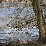 펜션 Weissensee
