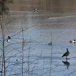 Weissensee 포츠담