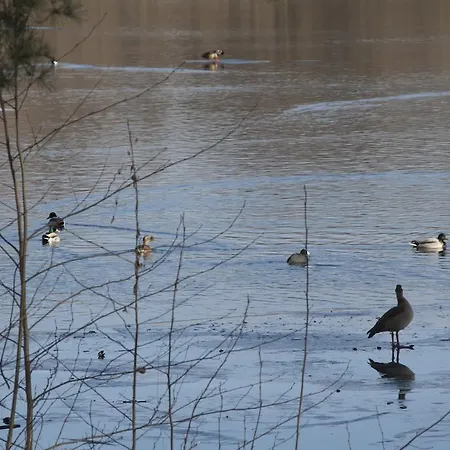 Weissensee Potsdam