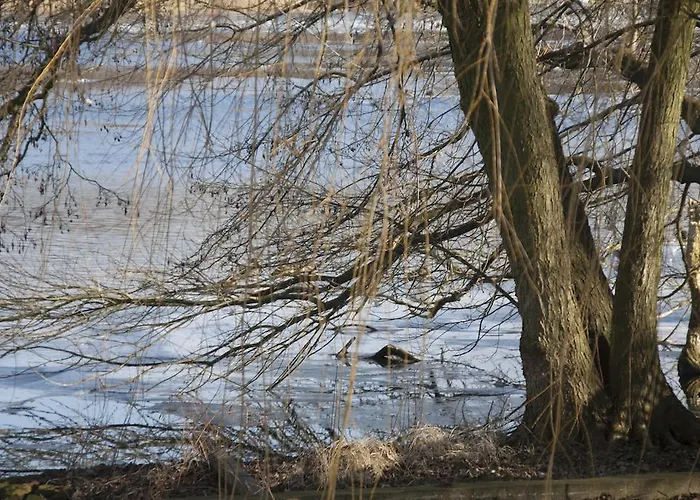 بيت للعطل Weissensee