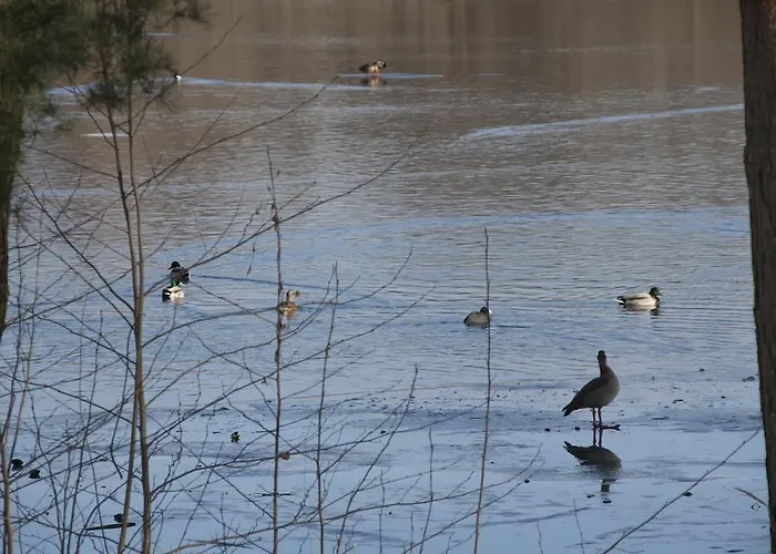 Weissensee بوتسدام